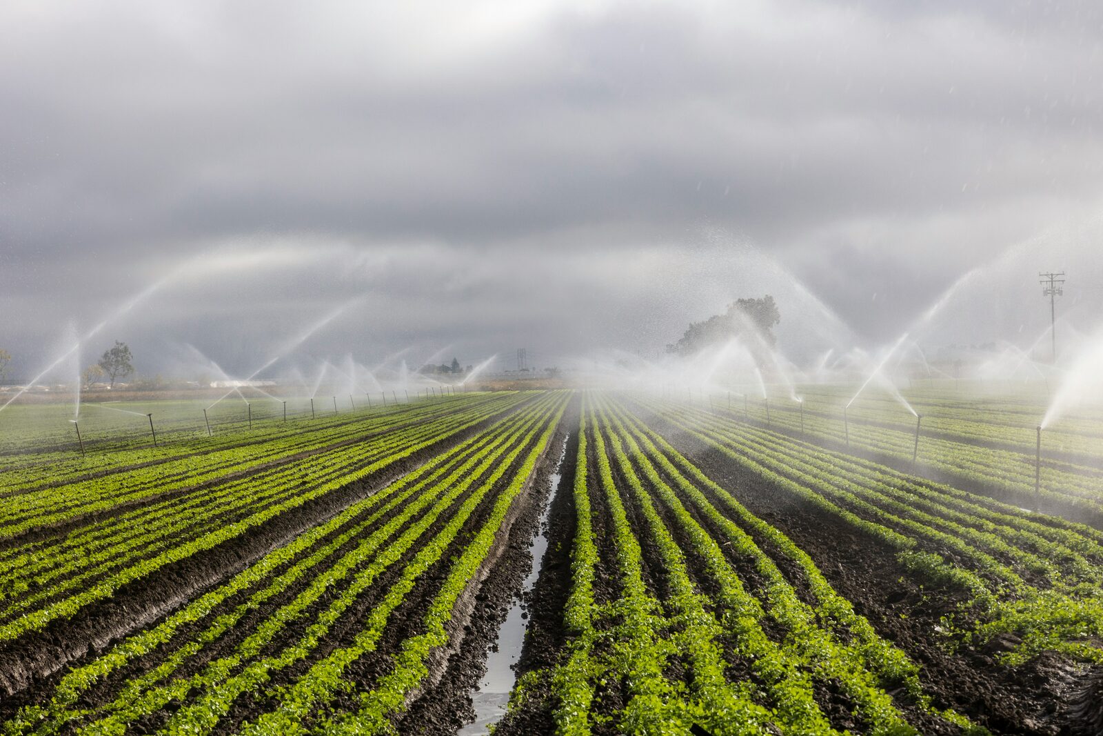 Smart Irrigation dashboard preview